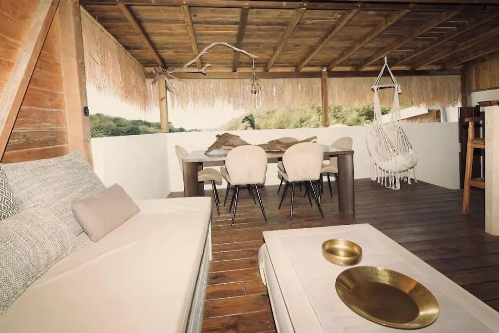 T3 De Charme Avec Rooftop Vue Mer, Le Cactus Sainte-Anne Apartment
