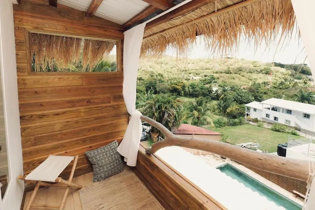 T3 De Charme Avec Rooftop Vue Mer, Le Cactus Sainte-Anne